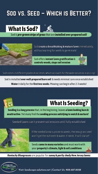 Sod vs. Seed – Which is Better