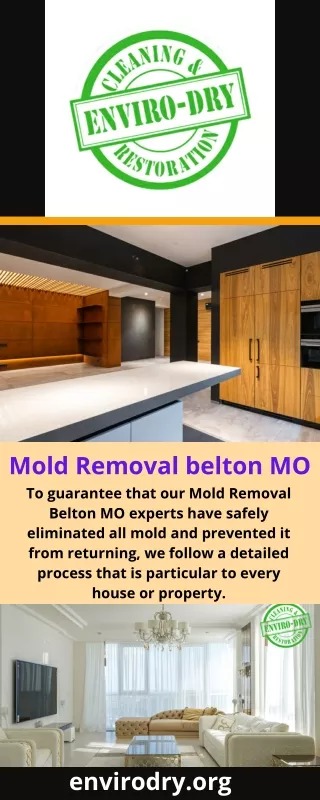 Mold Removal belton MO