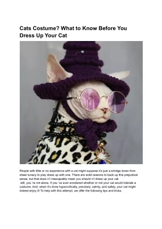 Cats in Costume_ What to Know Before You Dress Up Your Cat
