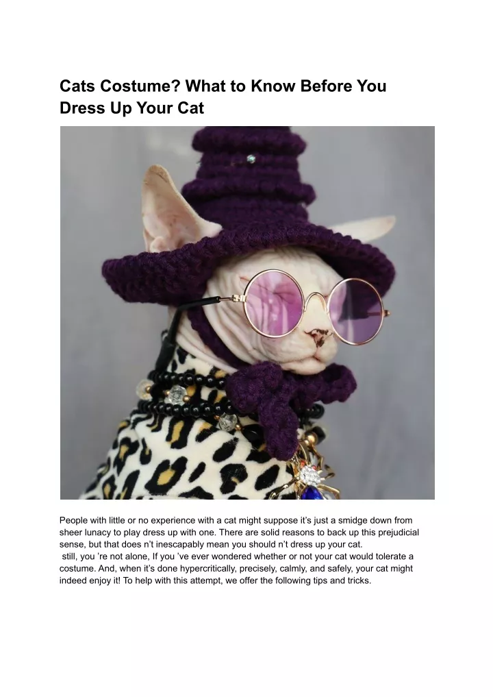 cats costume what to know before you dress