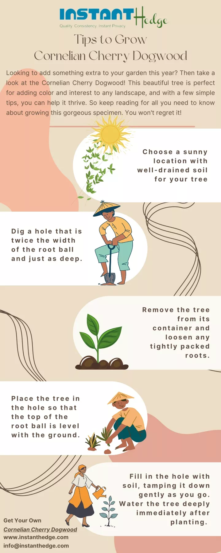 tips to grow