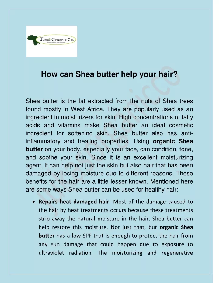 how can shea butter help your hair