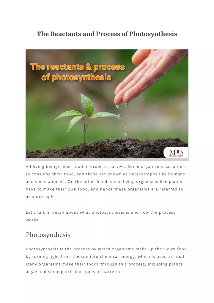 reactants in process of photosynthesis