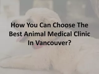 How You Can Choose The Best Animal Medical Clinic In Vancouver