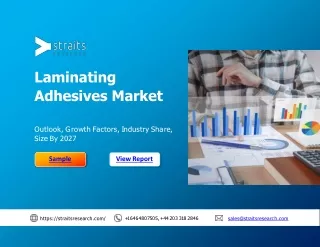 Laminating Adhesives Market Share