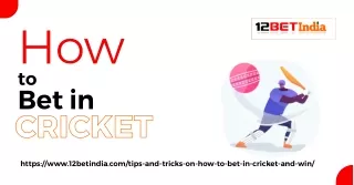 Tips and tricks on how to bet in cricket and win