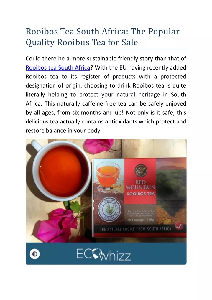 rooibos tea south africa the popular quality