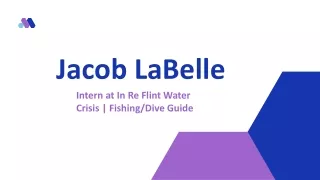 jacob labelle intern at in re flint water crisis