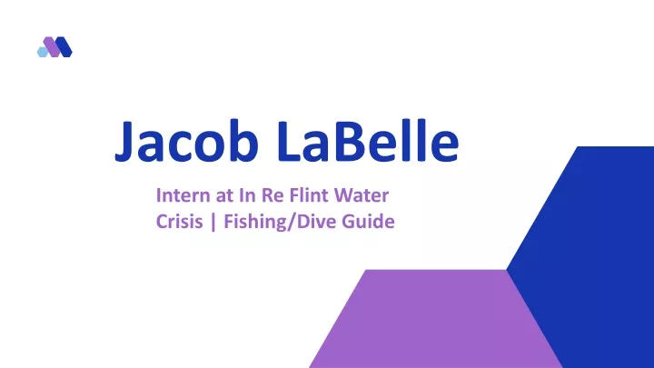 jacob labelle intern at in re flint water crisis