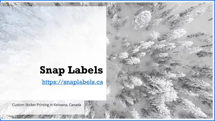 snap labels https snaplabels ca