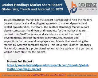 Leather Handbags Market Share Report Global Size, Trends and Forecast to 2029