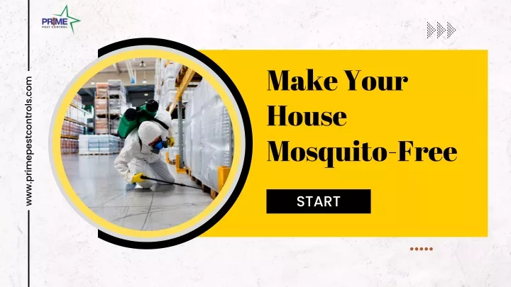 make your house mosquito free