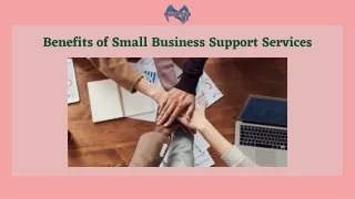 Benefits of Small Business Support Services