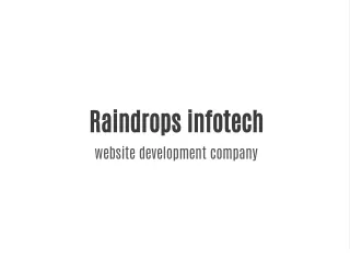 raindrops infotech website development company