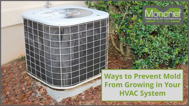 ways to prevent mold from growing in your hvac