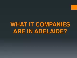 WHAT IT COMPANIES ARE IN ADELAIDE?