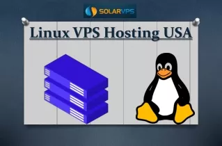linux vps hosting usa