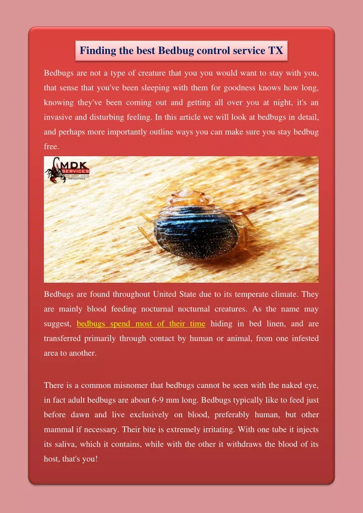 finding the best bedbug control service tx