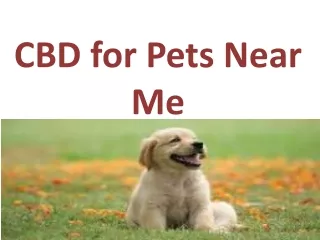cbd for pets near me