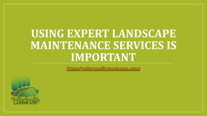 using expert landscape maintenance services is important
