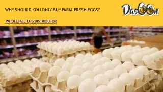 Why Should You Only Buy Farm Fresh Eggs