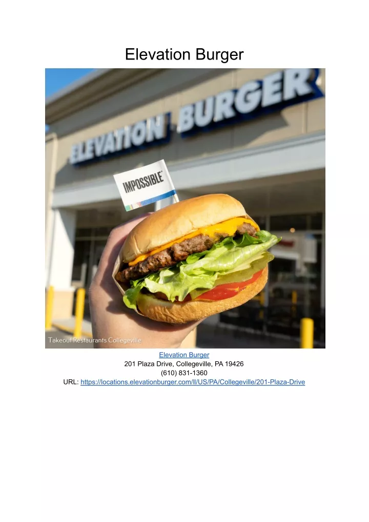 elevation burger