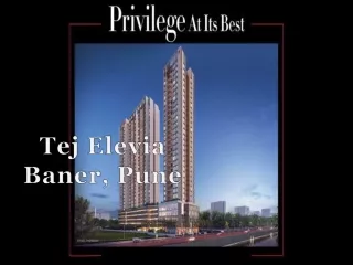 tej elevia baner pune