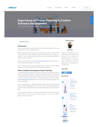 Why is Project Planning Important for Custom Software Development?