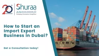 how to start an import export business in dubai