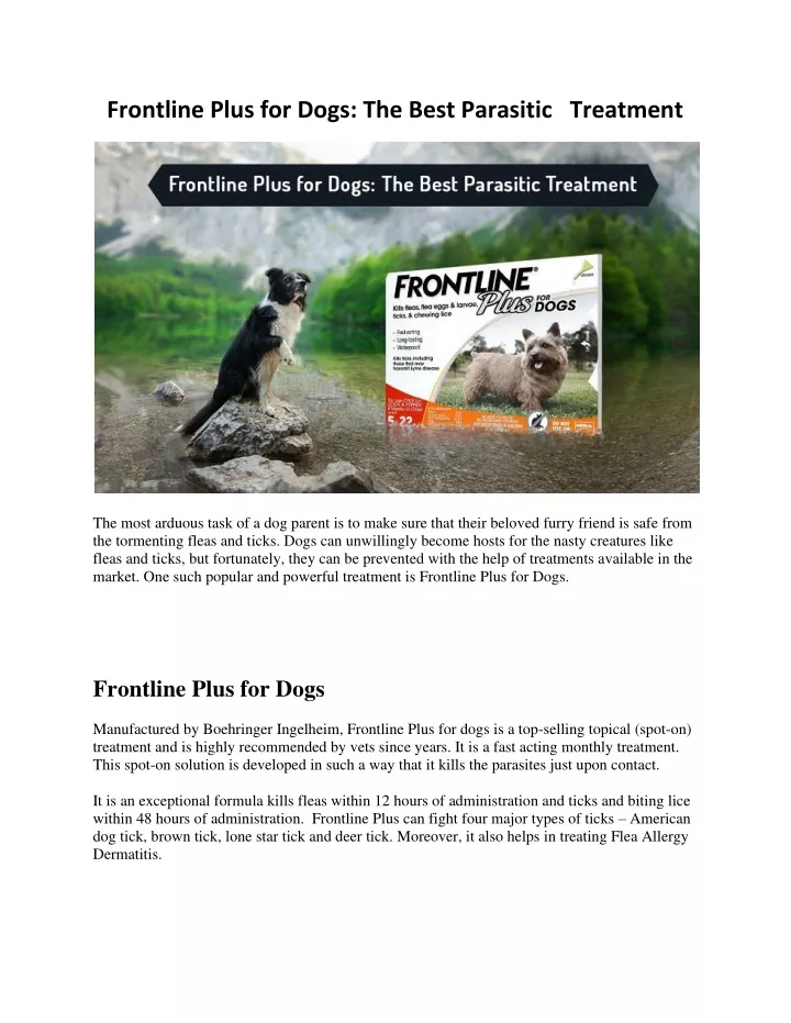 frontline plus for dogs the best parasitic