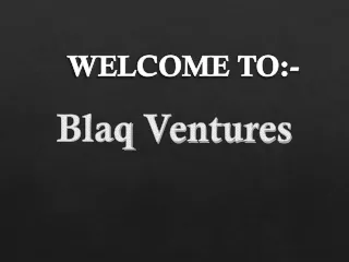 Investor Needed For Small Business | Blaq Ventures