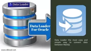 Data Loader For Oracle