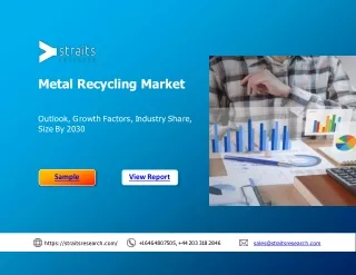 Metal Recycling Market Share