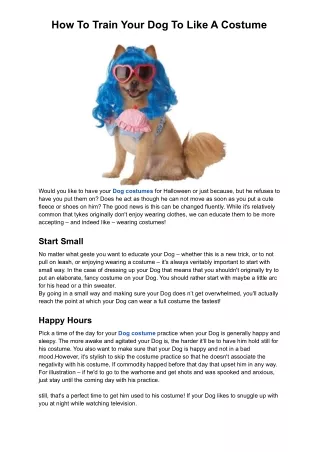 How To Train Your Dog To Like A Costume