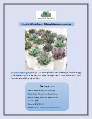 Succulent Plants Sydney | Happylittlesucculents.com.au