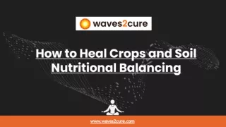 How to Heal Crops and Soil - Nutritional Balancing
