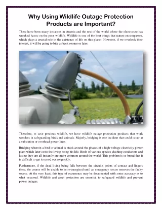 Why Using Wildlife Outage Protection Products are Important