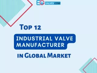 Top 12 Industrial Valve Manufacturer on Global Market