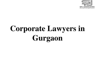 Corporate Lawyers