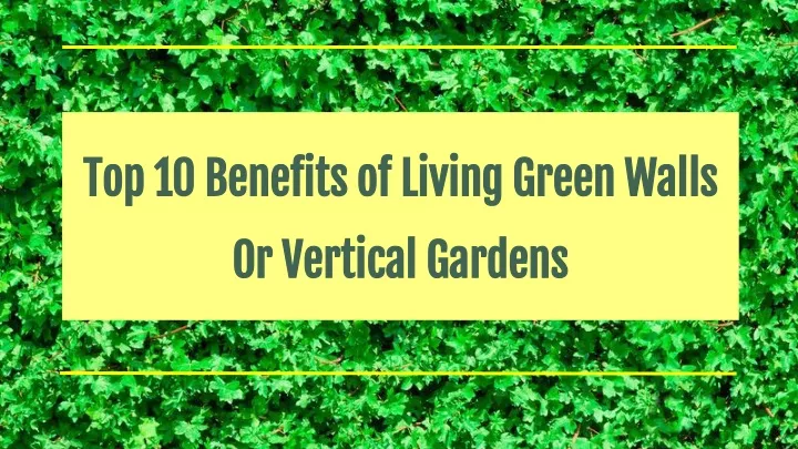 top 10 benefits of living green walls or vertical gardens