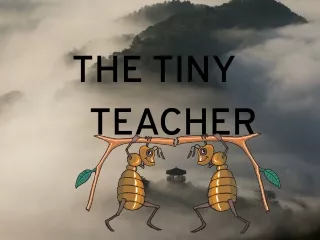THE TINY TEACHR