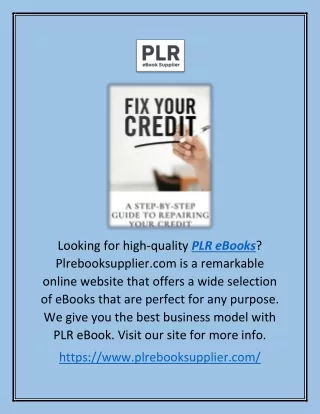 Plr Ebooks | Plrebooksupplier.com
