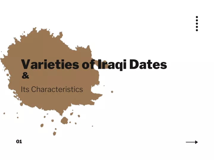 varieties of iraqi dates