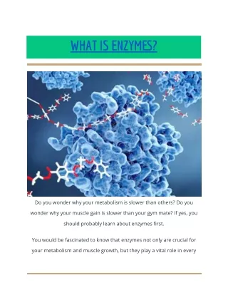 WHAT ARE ENZYMES_