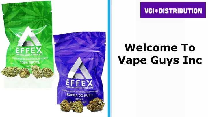 welcome to vape guys inc