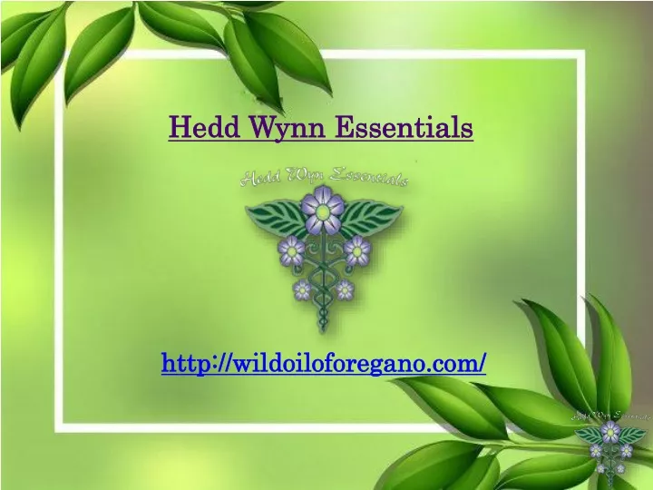 hedd wynn essentials