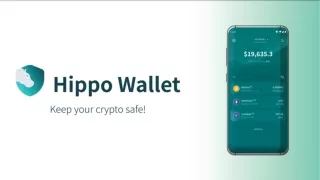 Which Cryptocurrencies Can I Use With Hippo Wallet?
