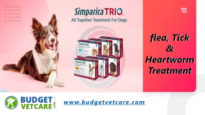 flea tick heartworm treatment