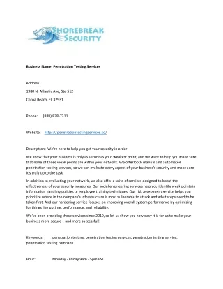 business name penetration testing services