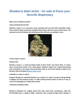 Blueberry blast strain - for sale at Koos your favorite dispensary
